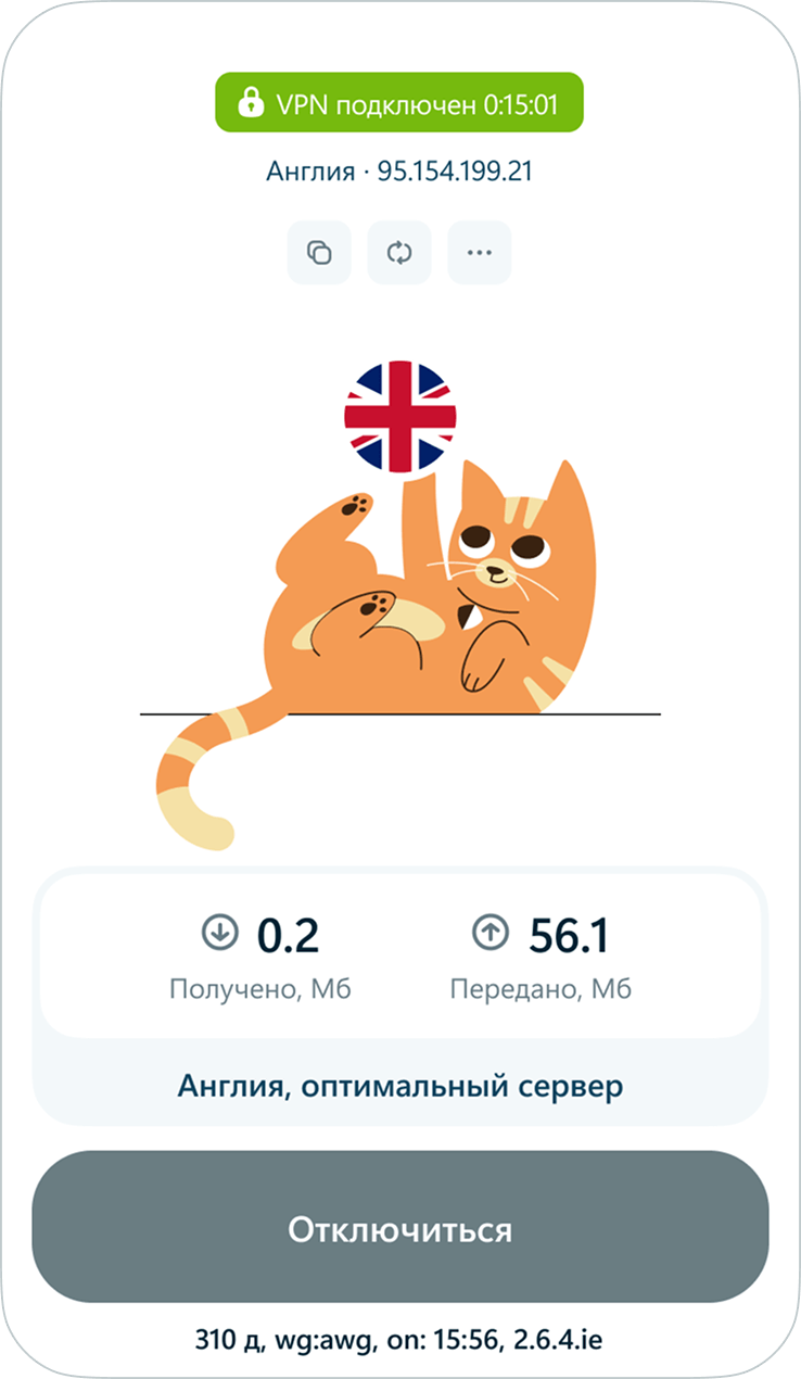 VPN-приложение hidemy.name